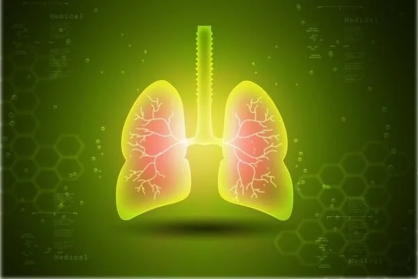 میکروپلاستیک ها به مجاری هوایی انسان می چسبند