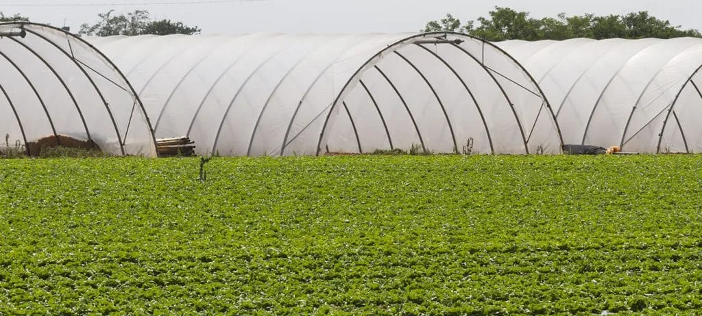 تولید نایلون پلاستیکی گلخانه