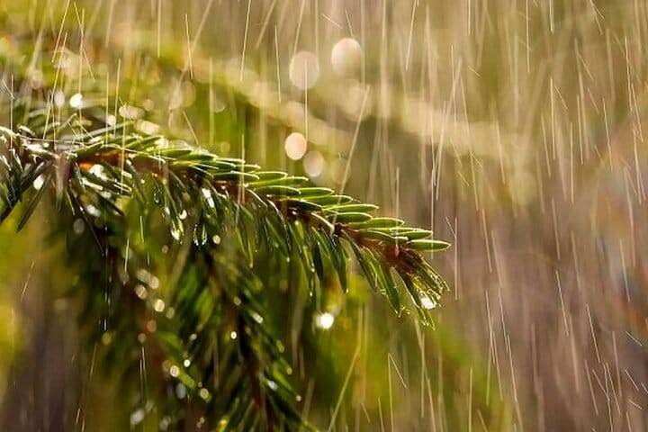 رگبار باران، رعد و برق و وزش باد شدید در ۱۶ استان